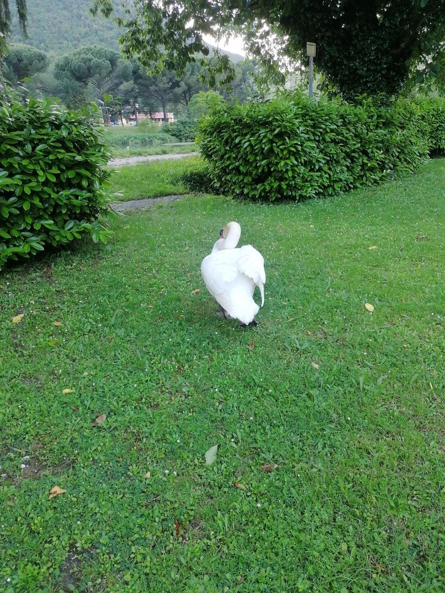 La Cannucciola เปียดิลูโก ภายนอก รูปภาพ